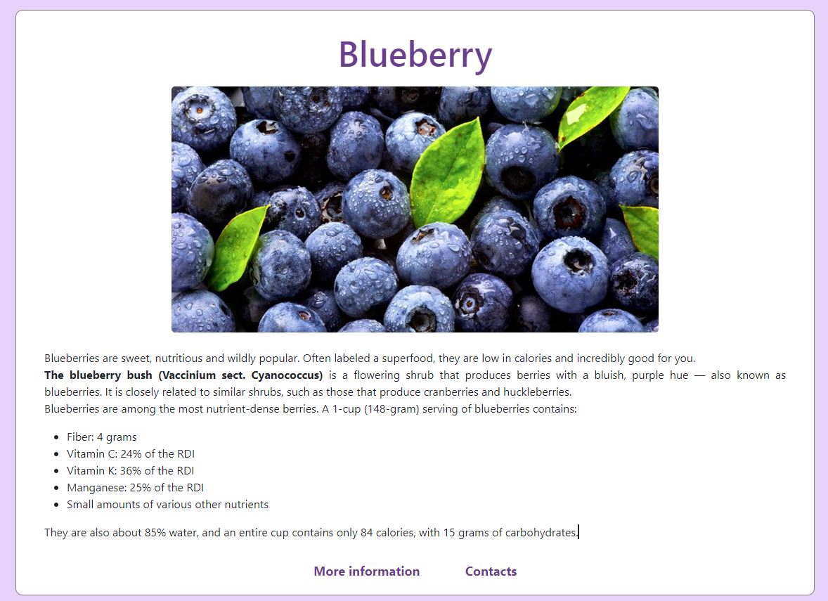 Blueberry Project